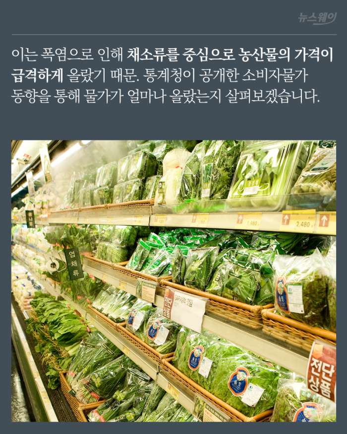 김밥에서 시금치가 사라진 이유 기사의 사진