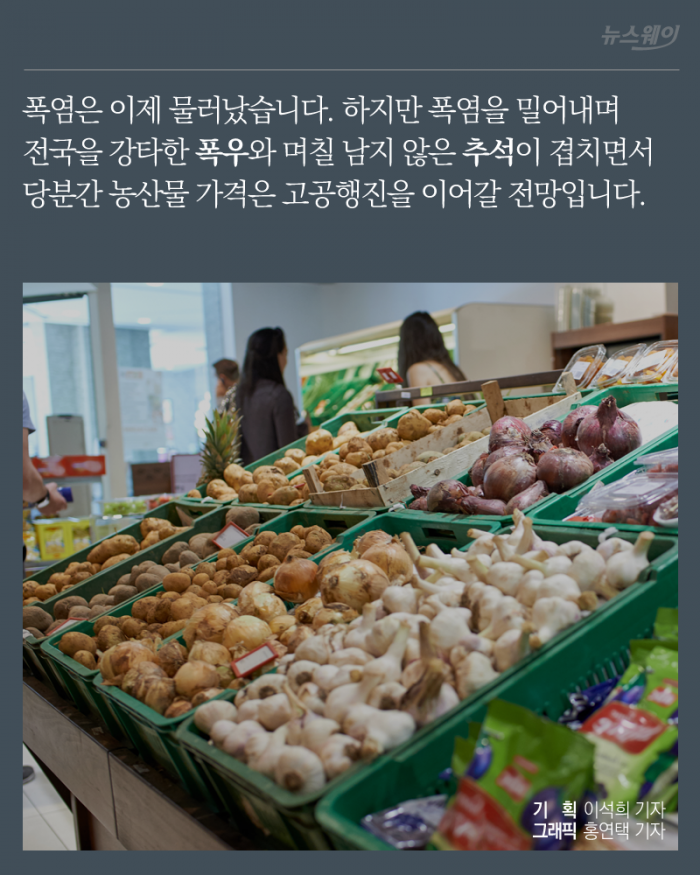 김밥에서 시금치가 사라진 이유 기사의 사진
