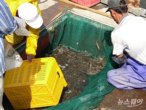 신안군, 청년이 돌아오는 어업 신안 ‘박차’