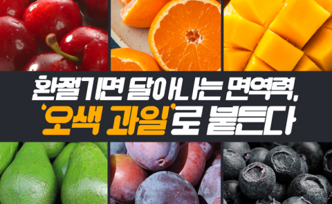 환절기면 달아나는 면역력, 오색 과일로 붙든다