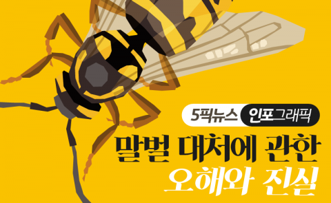 말벌 대처에 관한 오해와 진실