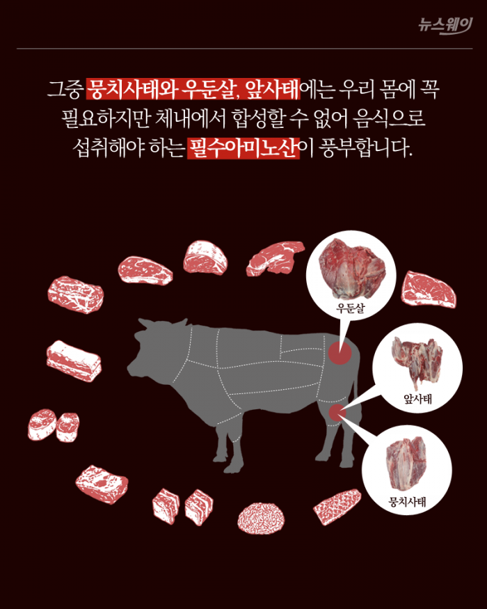 ‘알고 먹으면 더 맛있는’ 소고기 부위별 영양성분 기사의 사진