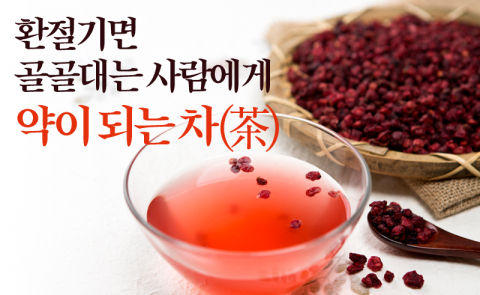환절기면 골골대는 사람에게 약이 되는 차(茶)