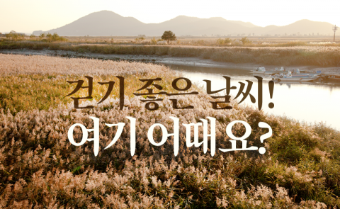 걷기 좋은 날씨! 여기 어때요?