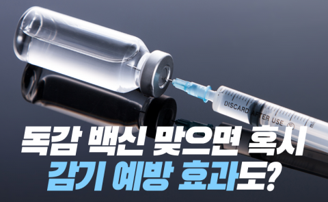 독감 백신 맞으면 혹시, 감기 예방 효과도?