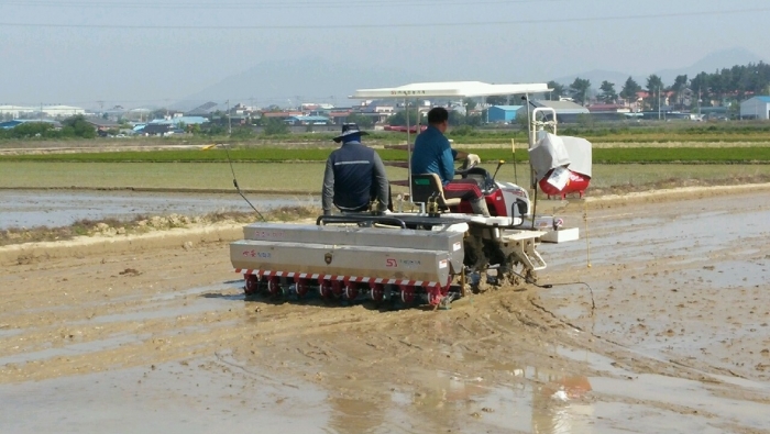 익산 농촌지도자회 무논점파 직파재배로 농업혁신 이룬다! 기사의 사진