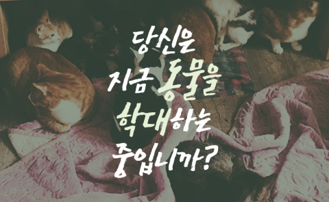 당신은 지금 동물을 학대하는 중입니까?