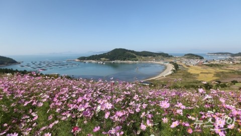 “파란하늘·바다...가을빛으로 물든 '청정 완도'로 떠나자”