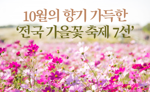 10월의 향기 가득한 ‘전국 가을꽃 축제 7선’