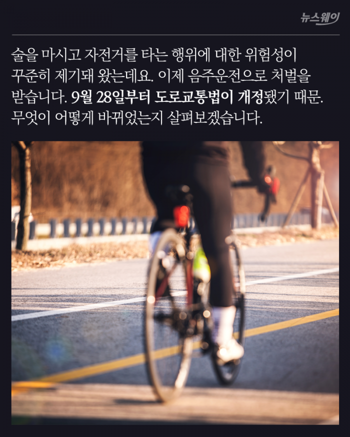 술 마시고 자전거 탄 당신, 음주운전입니다 기사의 사진
