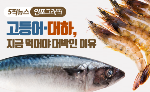 고등어·대하, 지금 먹어야 대박인 이유
