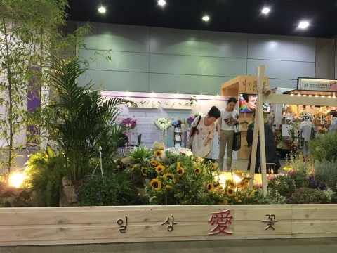 아름다운 꽃, 우리 집에 이렇게 꾸미면 된다