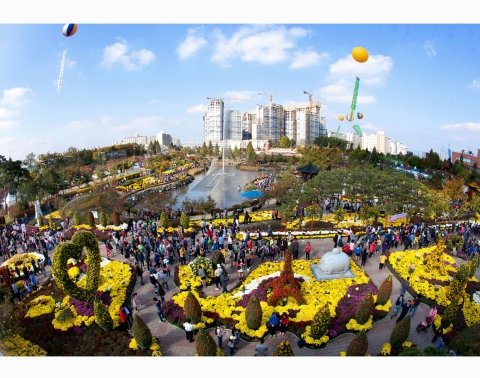 익산 천만송이 국화축제, 전북투어패스로 즐긴다!