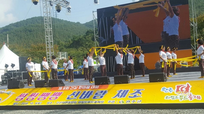 완주군 ‘신바람 체조대회’ 성료 기사의 사진