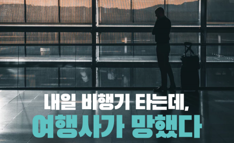내일 비행기 타는데, 여행사가 망했다