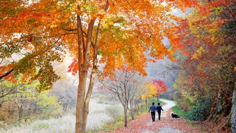 장수군, ‘2018 가을 여행 주간’ 다얀한 할인 행사 펼쳐