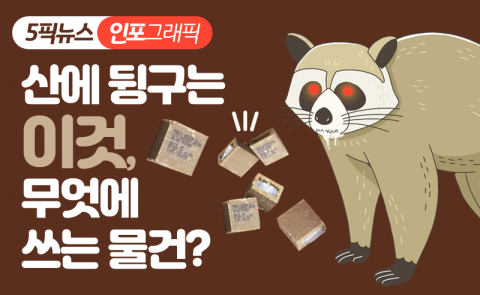 산에 뒹구는 이것, 무엇에 쓰는 물건?