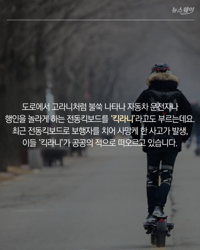 도로 위 시한폭탄···‘킥라니’의 아찔한 질주 기사의 사진