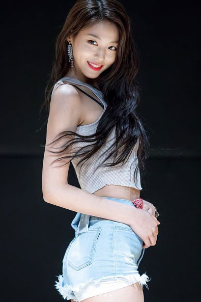 AOA 설현에 음란영상 보낸 범인은 조현정동 장애인···징역 6월·집유 2년