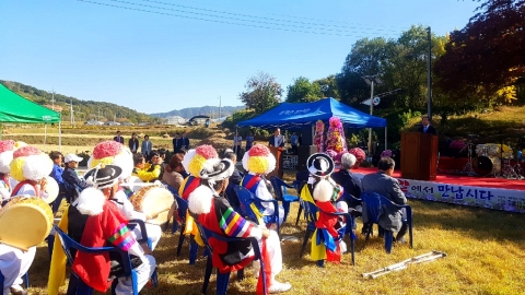 임실군, 국화꽃 향기로 흠뻑