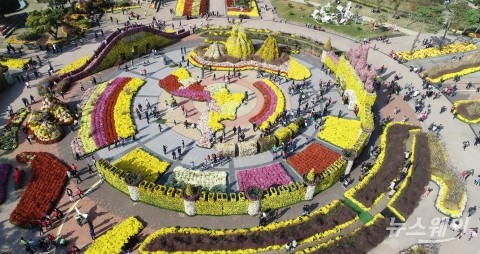 ‘국향의 진한 향기’···함평 국향대전 ‘북적북적’