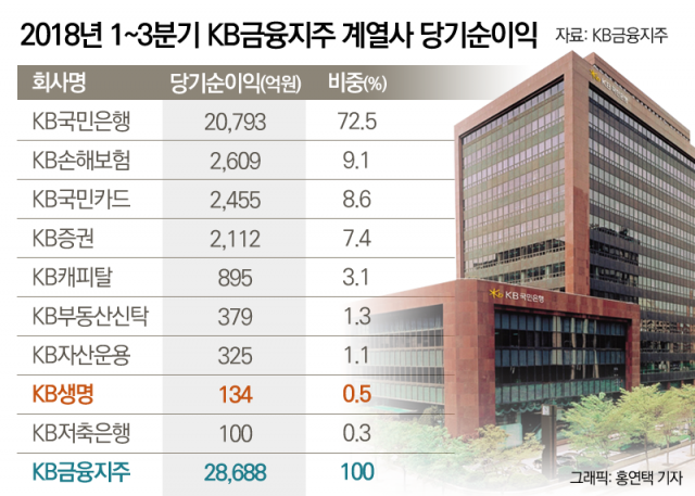 ‘리딩뱅크 경쟁’ 아웃사이더 KB생명···생보사 M&A 시급