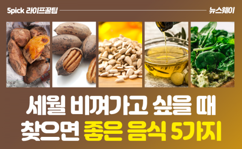 세월 비껴가고 싶을 때 찾으면 좋은 음식 5가지