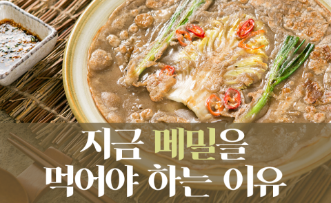 지금 메밀을 먹어야 하는 이유