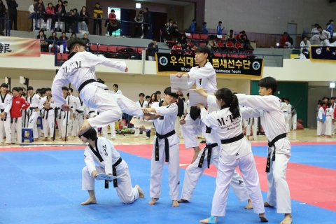 제14회 웰빙태권체조 및 시범페스티벌 성료
