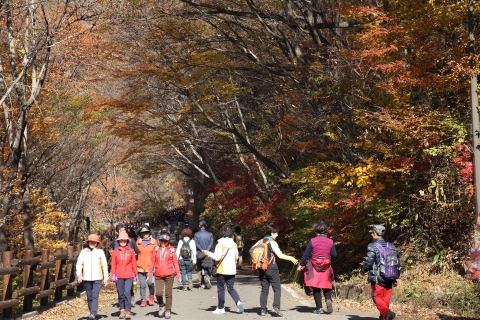 구례군, 제42회 지리산피아골단풍축제 성료