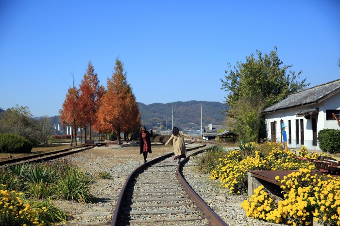 가을향 물씬, 국화꽃이 반겨주는 남원 서도역 기사의 사진