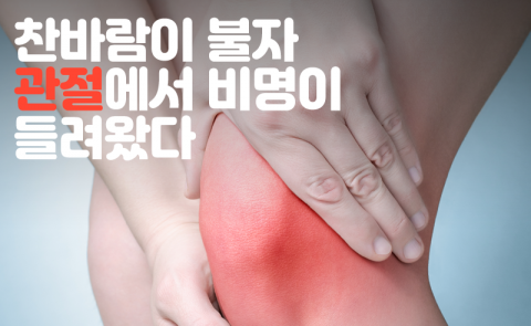 찬바람이 불자 관절에서 비명이 들려왔다
