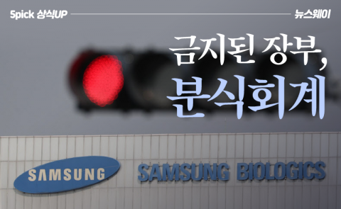 금지된 장부, 분식회계