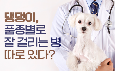 반려견, 품종별로 잘 걸리는 병 따로 있다?