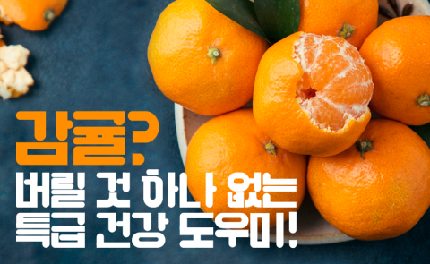 감귤? 버릴 것 하나 없는 특급 건강 도우미!