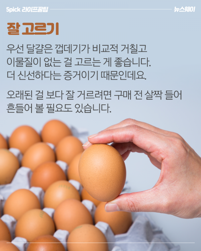 ‘완전식품’ 달걀, 잘 고르고 잘 보관하기 기사의 사진