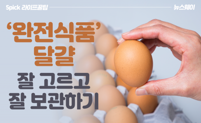 ‘완전식품’ 달걀, 잘 고르고 잘 보관하기