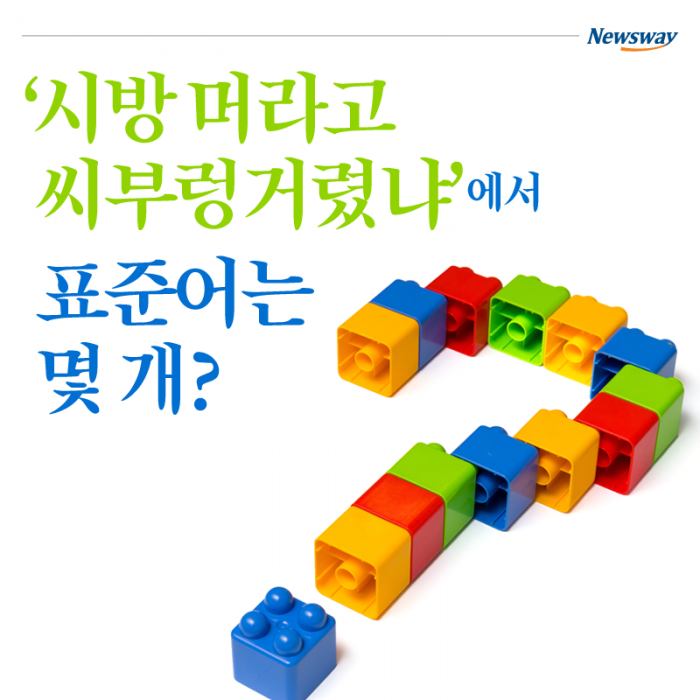 ‘시방 머라고 씨부렁거렸냐’에서 표준어는 몇 개? 기사의 사진