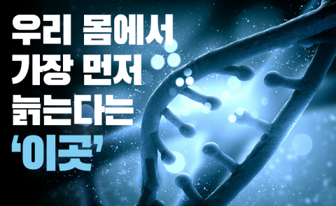 우리 몸에서 가장 먼저 늙는다는 ‘이곳’