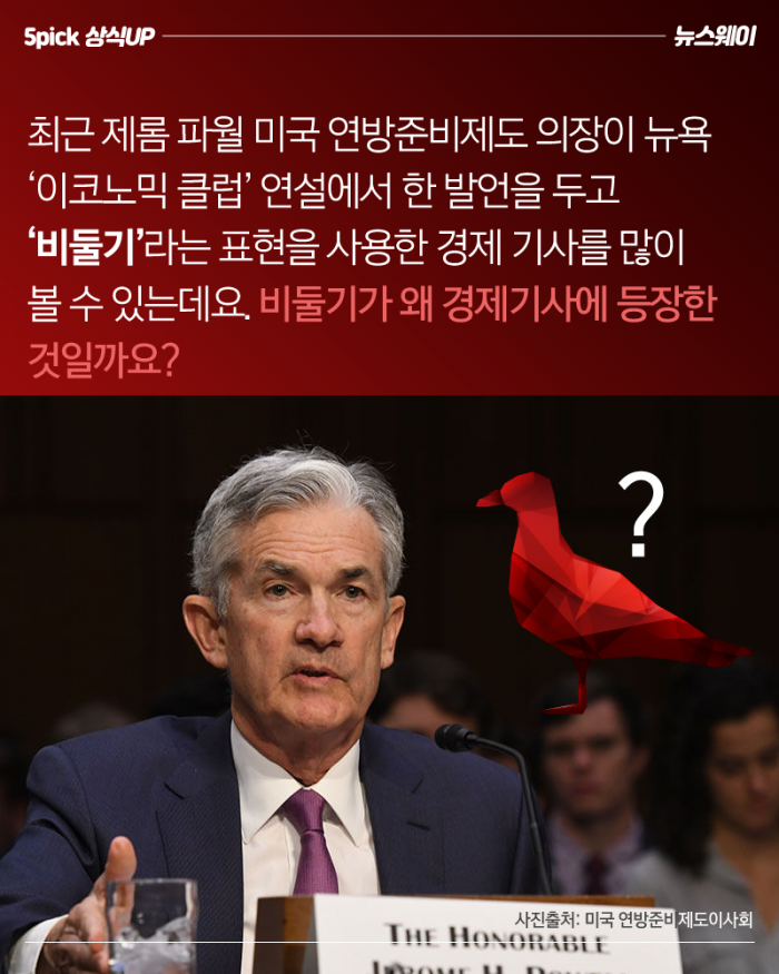 경제기사에 ‘비둘기’가 등장한 이유 기사의 사진