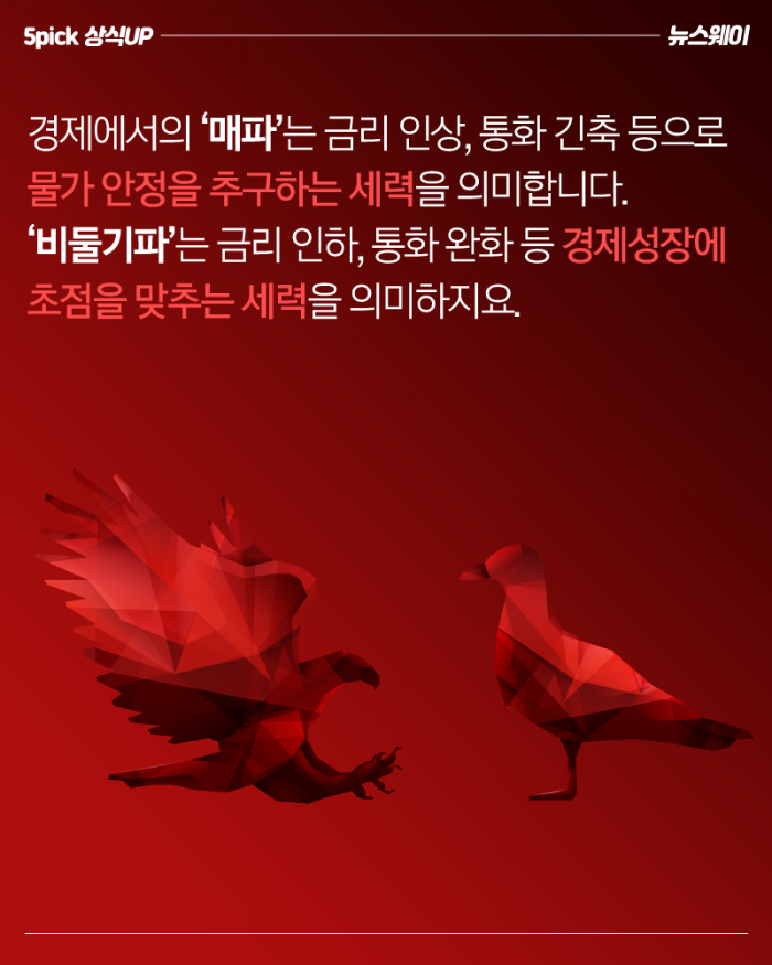 경제기사에 ‘비둘기’가 등장한 이유 기사의 사진