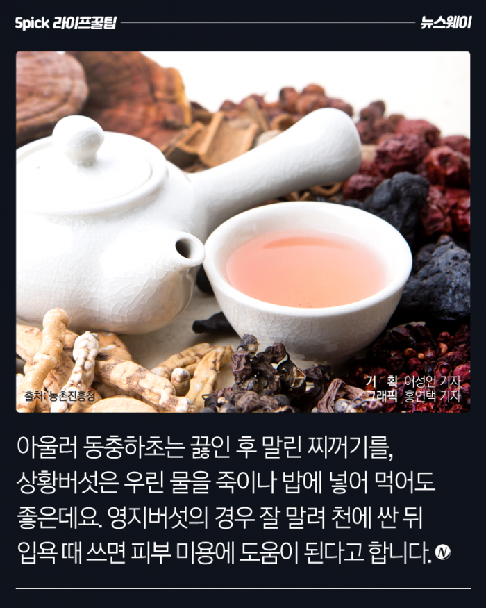 겨울 면역력 업그레이드를 위한 ‘약용버섯 차’ 기사의 사진