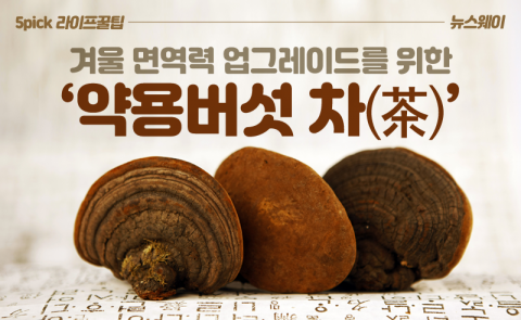 겨울 면역력 업그레이드를 위한 ‘약용버섯 차’