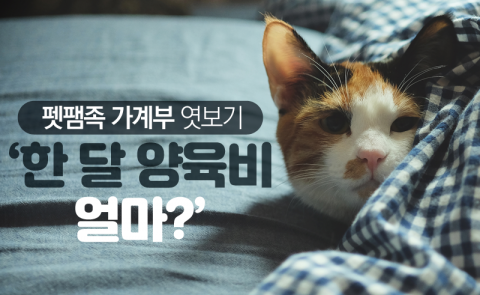 펫팸족 가계부 엿보기 ‘한 달 양육비 얼마?’