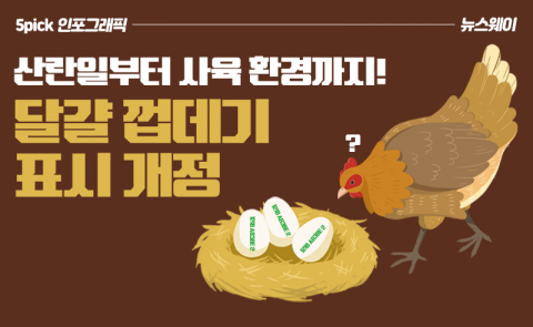 달걀 껍데기는 알고 있다