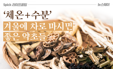 ‘체온+수분’ 겨울에 차로 마시면 좋은 약초들