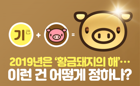 2019년은 ‘황금돼지의 해’···이런 건 어떻게 정하나?