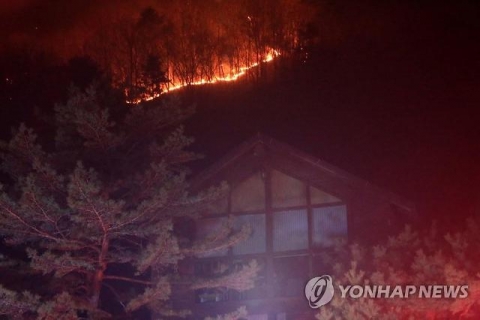 강원도 양양 산불 진화중···주민 145명 대피