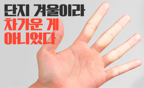 단지 겨울이라 차가운 게 아니었다