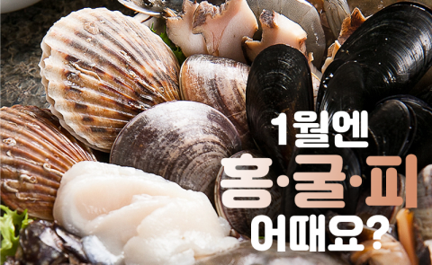 1월엔 ‘홍·굴·피’ 어때요?